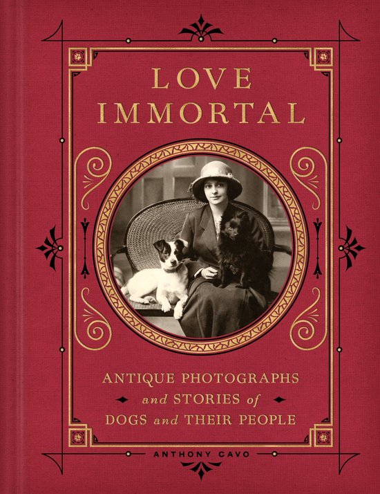 Boek cover Love Immortal van Anthony Cavo (Onbekend)