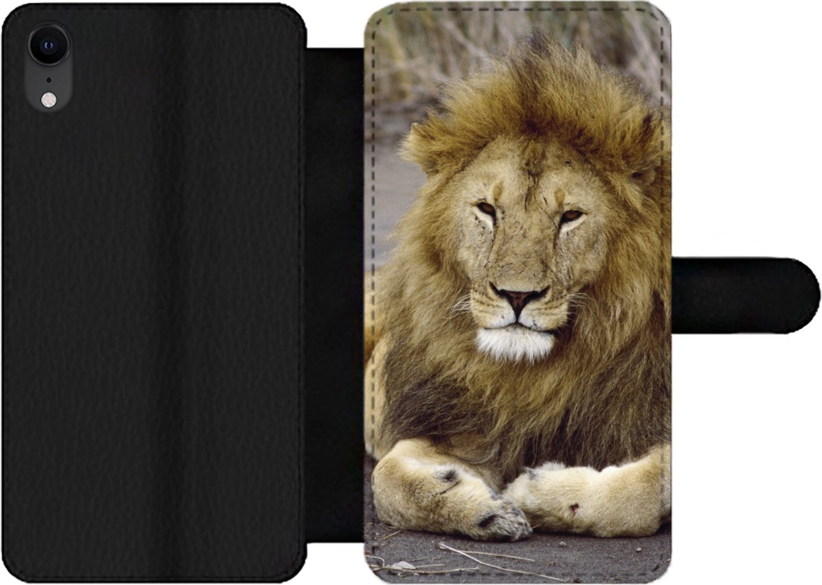 Telefoonhoesje Geschikt voor iPhone XR telefoonhoesje - Leeuw - Afrika - Dier - Met vakjes - Wallet case met magneetsluiting