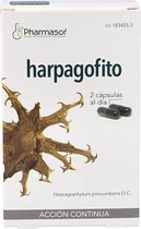 Homeosor Harpagofito Continuous Action 30 Capsules