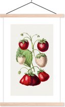 Porte-affiche avec affiche - Affiche scolaire - Fraise - Fruit - Nourriture - 120x180 cm - lattes vierges