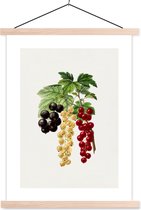 Porte-affiche avec affiche - Affiche scolaire - Raisins - Feuilles - Nourriture - 90x120 cm - lattes vierges
