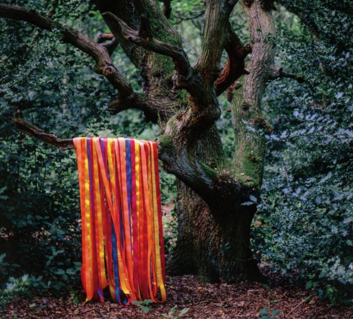 James Holden & The Animal Spirits - The Animal Spirits (CD)