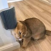 Cat 2024 self groomer