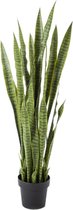 Sansevieria XL - kunstplant