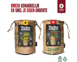 Kweeksets Tomatoes Bio Clementine Yellow en Tiny Tim/ duurzaam/ gerecycled/ BIO/ cadeau/ cadeau idee