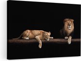 Artaza Canvas Schilderij Leeuw en Leeuwin in het Donker - 90x60 - Foto Op Canvas - Canvas Print - Muurdecoratie