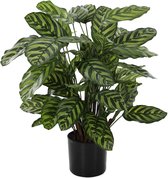 Viv! Home Luxuries Calathea Makoyana - kunstplant - 80cm - groen - topkwaliteit Calathea / Kunststof / groen