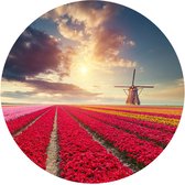 Behangcirkel Hollands Tulpenveld | ⌀ 80 cm | Zelfklevend | Wanddecoratie | Ronde Muursticker | Muurcirkel Binnen