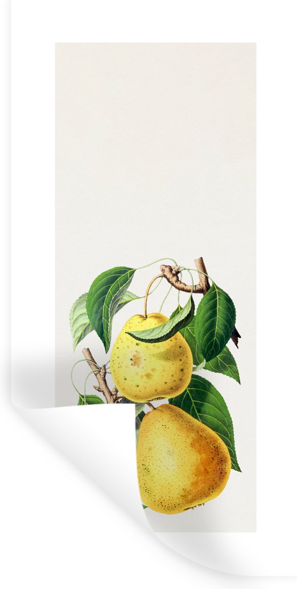 Muurstickers - Sticker Folie - Eten - Peer - Fruit - 40x80 cm - Plakfolie - Muurstickers K