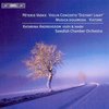 Katarina Andreasson, Swedish Chamber Orchestra - Violin Concerto/Musica Dolorosa/Via (CD)