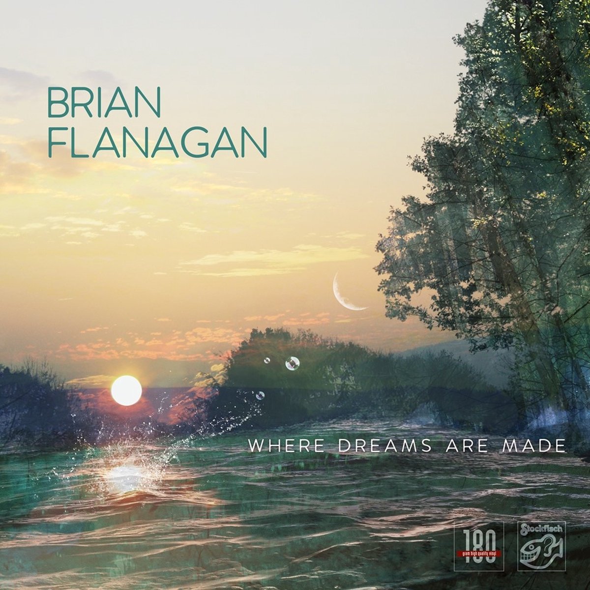 Brian Flanagan - Where Dreams Are Made (LP)