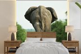 Behang - Fotobehang Achterkant van een olifant - Breedte 350 cm x hoogte 350 cm