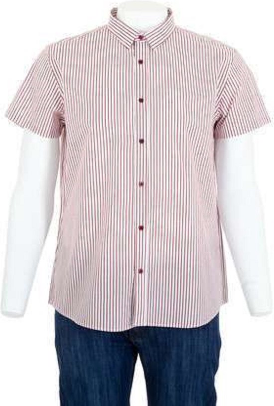 Glo-Story Slim-fit blouse rood gestreept