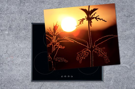 Een snijplank met een brandnetel in silhouet tegen een oranje zonsondergang, bovenop een zwarte inductiekookplaat.
