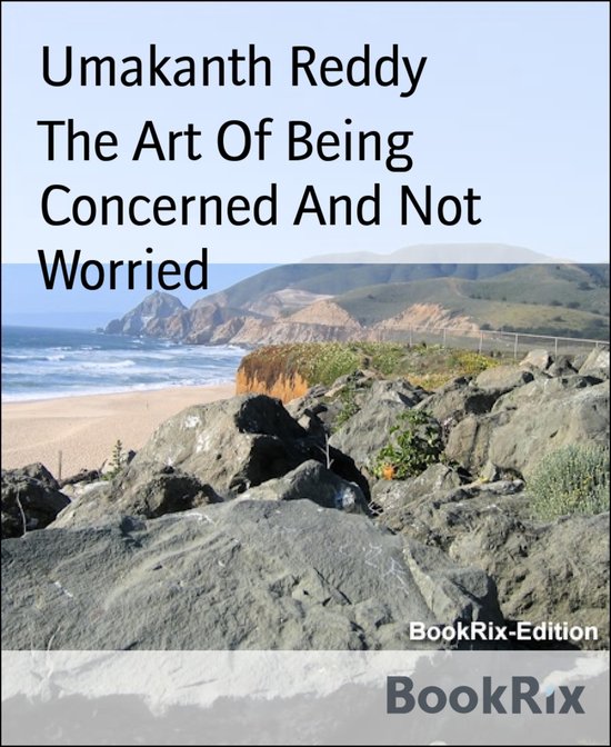 The Art Of Being Concerned And Not Worried - cover