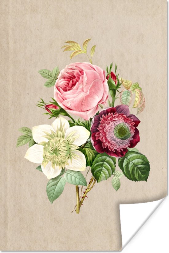 Affiche Fleurs - Vintage - Antiquité - Design - Botanique - 20x30 cm