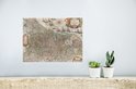 Carte historique des Pays-Bas accrochée à un mur au-dessus d'une étagère avec des plantes.