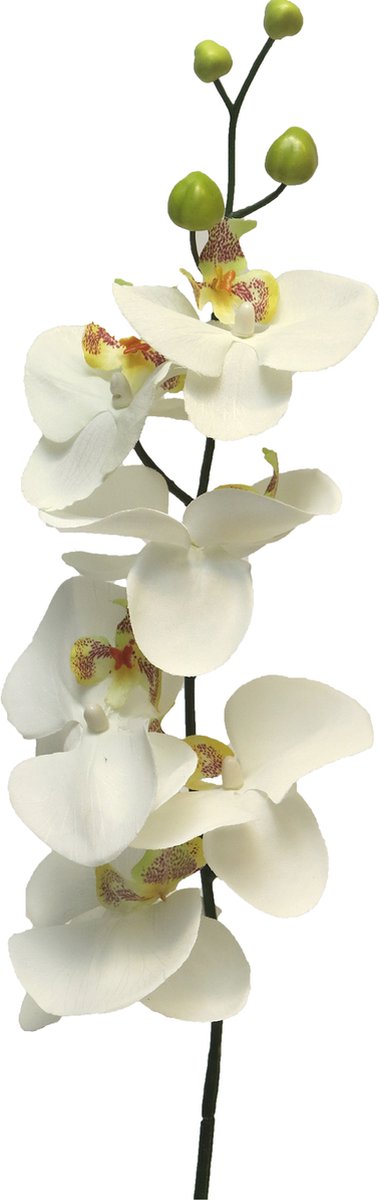 Phalaenopsis orchidee kunstbloem 78 cm crème