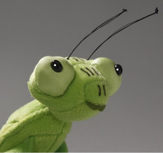 Pray Grasshopper Insects Hug 35 cm Décoration animaux animaux