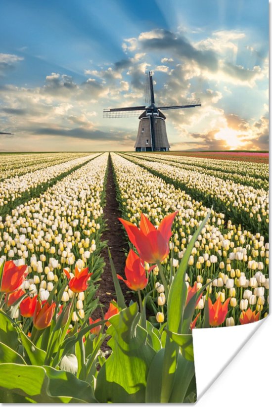 Poster Windmolen - Tulpen - Lucht - Natuur - 80x120 cm