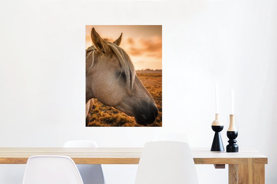 Affiche Cheval - Animaux - Portrait - 60x80 cm