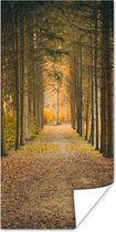 Affiche Chemin - Arbres - Forêt - 20x40 cm