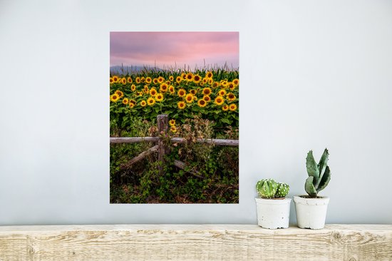 Affiche Tournesol - Fleurs - Plantes - 30x40 cm