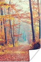 Poster Bos - Herfst - Bladeren - 20x30 cm