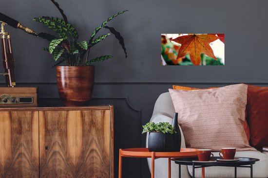 Affiche Automne - Rural - Feuilles - Saisons - Rural - 40x20 cm