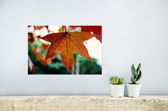 Affiche Automne - Rural - Feuilles - Saisons - Rural - 30x20 cm