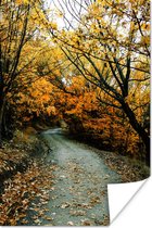 Affiche Feuilles - Automne - Forêt - 80x120 cm