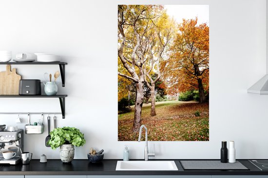 Affiche Automne - Arbres - Feuilles - nature - 80x120 cm