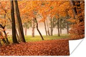 Poster Bladeren - Herfst - Bos - 30x20 cm