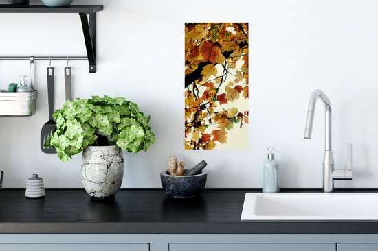 Poster Arbres - Feuilles d'Automne - Nature - 20x40 cm
