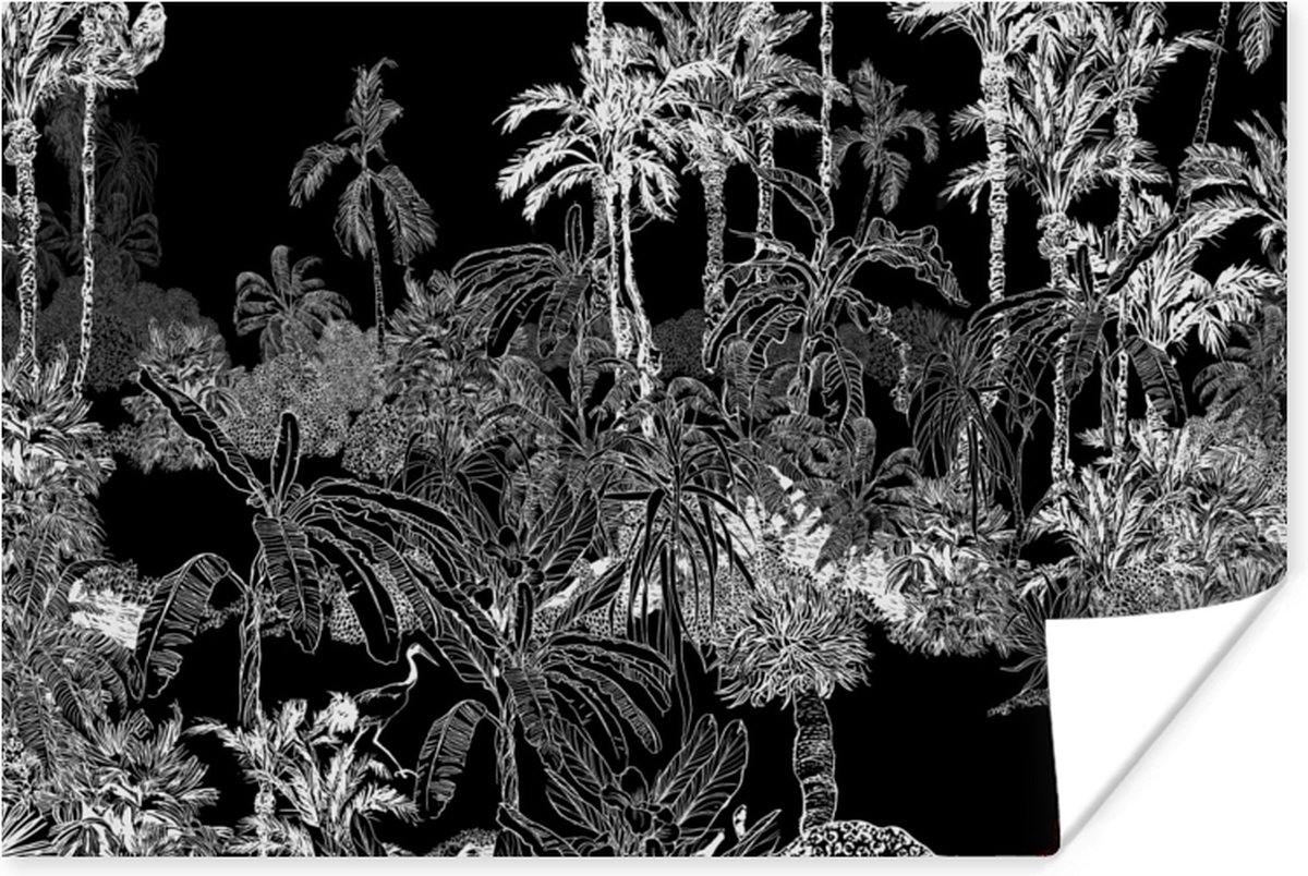 Poster Palm - Jungle - Tropical - 60x40 cm