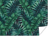 Poster Bladeren - Tropisch - Jungle - Natuur - 120x90 cm