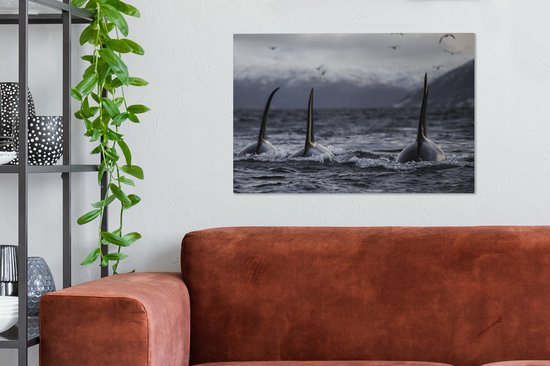 Tableau sur toile Trois Orques - 90x60 cm - Décoration murale