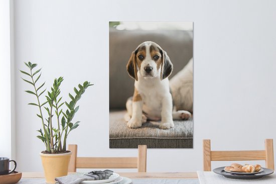 Mignon chiot Beagle assis sur le canapé Toile 40x60 cm - Tirage photo sur toile (Décoration murale salon / chambre) / Peintures sur toile pour Animaux domestiques