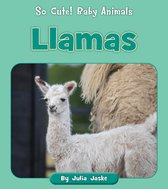 So Cute! Baby Animals - Llamas