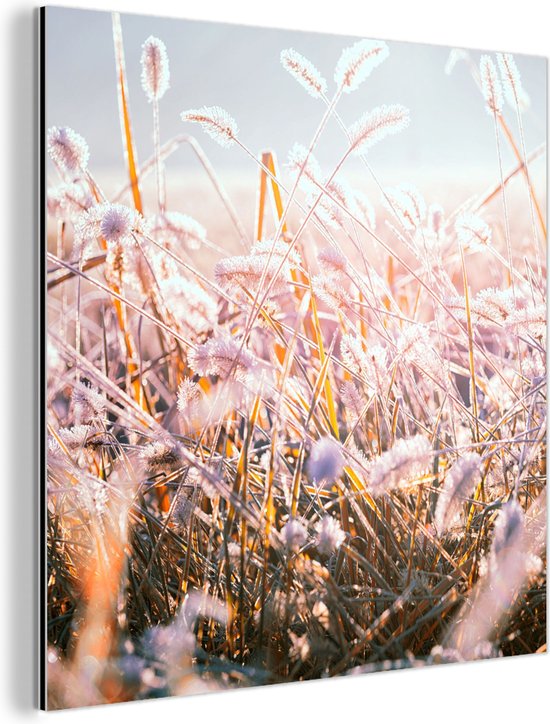 Décoration murale Métal - Peinture Aluminium Industriel - Herbe - Soleil - Hiver - Neige - 50x50 cm - Dibond - Photo sur aluminium - Décoration murale industrielle - Pour le salon/chambre