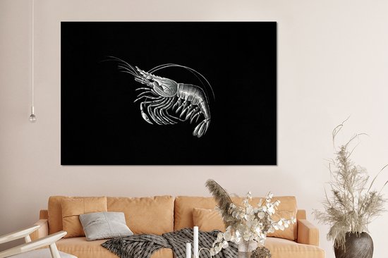 Décoration murale Métal - Peinture Aluminium Industriel - Crevettes - Vintage - Ernst Haeckel - Animaux - Art - 150x100 cm - Dibond - Photo sur aluminium - Décoration murale industrielle - Pour le salon/chambre