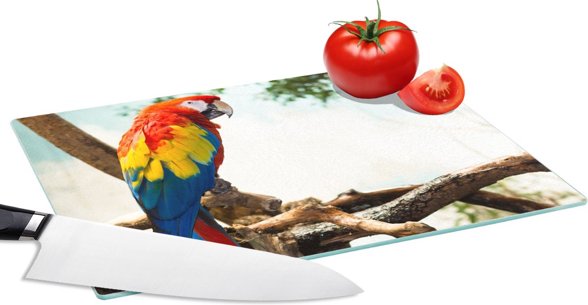 Glazen Snijplank - 28x20 - Papegaai - Vogel - Regenboog - Tropical - Snijplanken Glas
