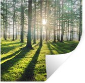 Stickers muraux - Arbres - Nature - Forêt - 120x120 cm - Film Adhésif XXL