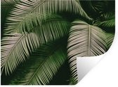 Stickers muraux - Palmiers - Été - Tropical - 160x120 cm - Film Adhésif XXL