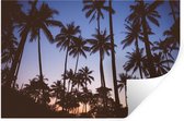 Stickers muraux - Palmier - Tropical - Été - Ciel - 60x40 cm - Film adhésif