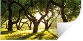 Stickers muraux - Film autocollant - Arbres - Nature - Soleil - 120x60 cm - Film adhésif - Stickers muraux Chambre d'enfant - Papier peint autocollant