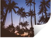 Stickers muraux - Palmier - Tropical - Été - Ciel - 80x60 cm - Film adhésif