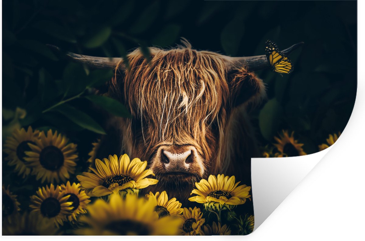 Muurstickers - Sticker Folie - Schotse hooglander - Bloemen - Koe - Botanisch - Dieren - 6