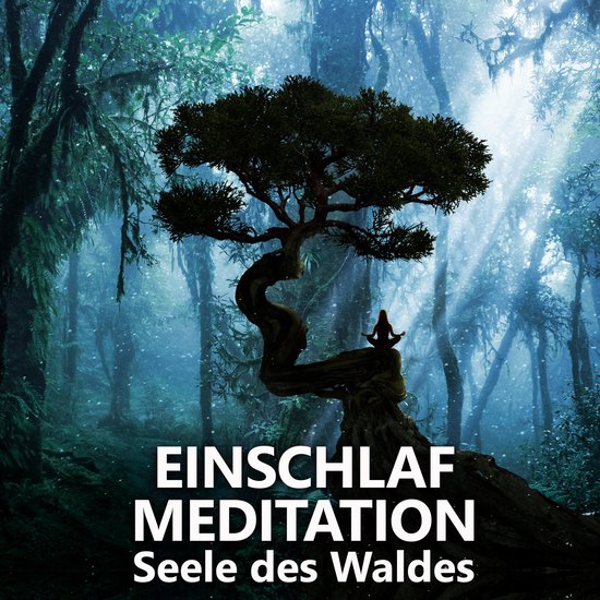 Einschlafmeditation | Seele des Waldes - cover
