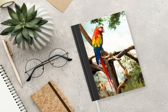 Carnet - Cahier d'écriture - Perroquet - Vogel - Arc-en-ciel - Tropical - Carnet - Taille A5 - Bloc-notes